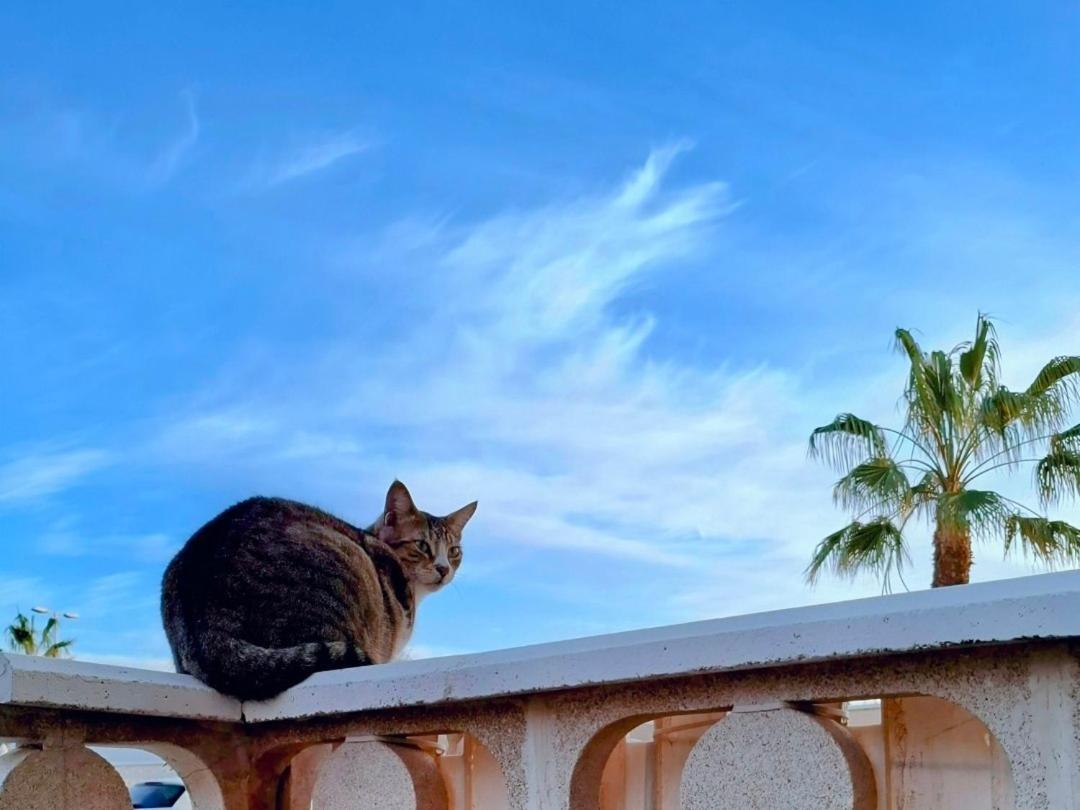 Habitacion Doble Con Bano Y Terraza Privada Ελ Μέντανο Εξωτερικό φωτογραφία