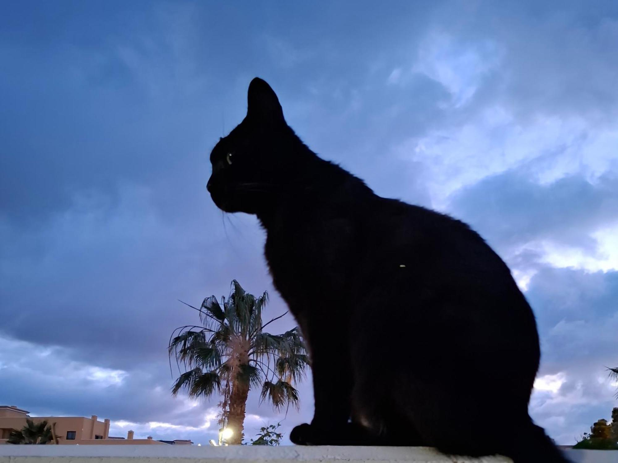Habitacion Doble Con Bano Y Terraza Privada Ελ Μέντανο Εξωτερικό φωτογραφία